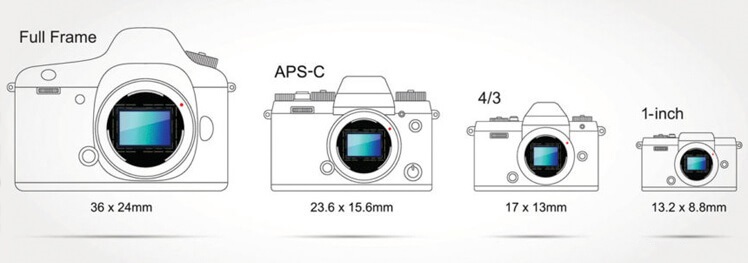Full Frame sensor vs APS-C vs Micro vs 1"